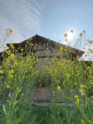 a building in the middle of a field of flowers at maison Rose & Jardinier eco homestay in Sa Pa