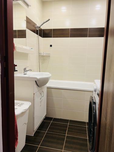 a bathroom with a sink and a toilet and a tub at Chodov apartmán in Prague