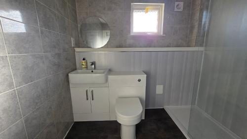 a bathroom with a toilet and a sink and a mirror at The Ansi9 in Livingston
