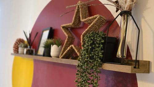 a shelf with a bunch of cactuses and a plant at The Ansi9 in Livingston
