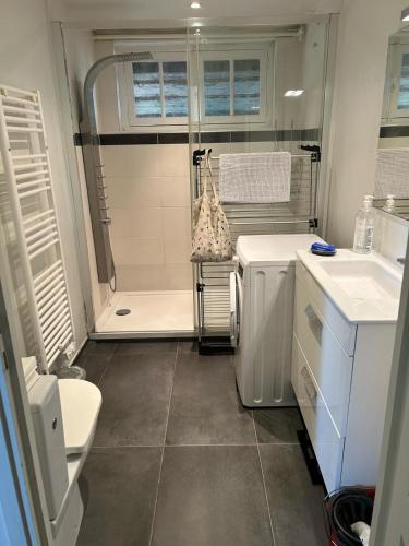 une salle de bain avec une douche, des toilettes et un lavabo dans l'établissement Appartement à 2 pas de la mer et du casino, à Cabourg