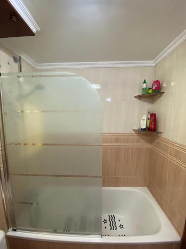 a shower with a glass door in a bathroom at Apartamento Lagabide in Ibarrangelu