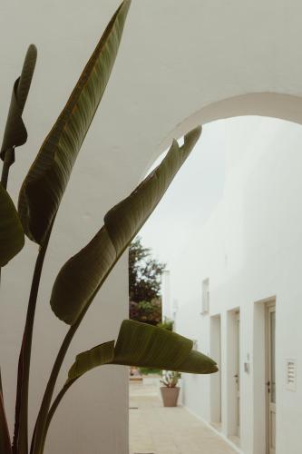 Gallery image of Relais San Martino - Salento in Taviano