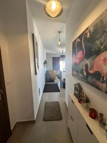 امواج الساحل الشمالى الساحل الشرير