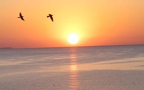 Foto Finikoudes Sunrise Sea View Lux 6