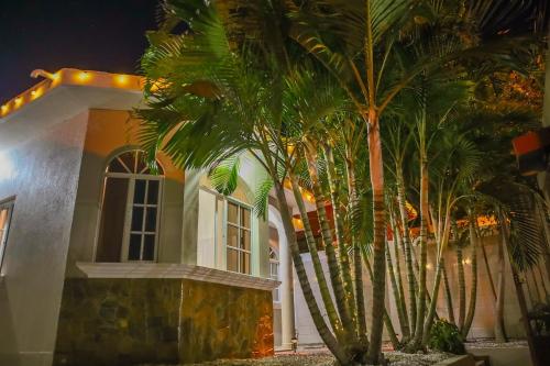 a house with palm trees in front of it at Ideal house for families, large groups & cozy in Santa Rosa de Copán
