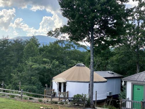 a gazebo with a tent next to a tree at Serenity Yurt in Sunny View