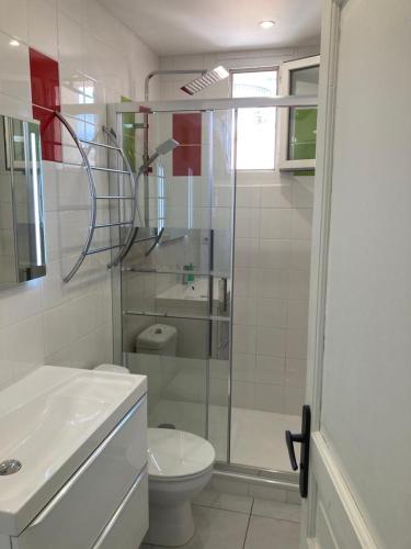 une salle de bain avec toilettes et douche en verre dans l'établissement Evasion Marine, à Palavas-les-Flots
