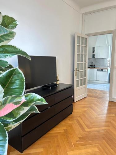 - un salon avec une commode noire et une plante dans l'établissement Suite HISPANIA FSHH, à Nice