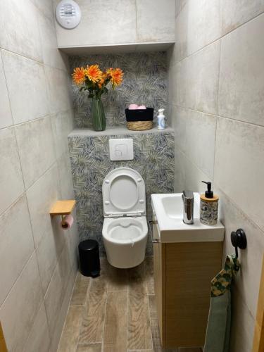 un piccolo bagno con un water e un lavandino di Chambre hôte dans chalet de montagne a Verchaix