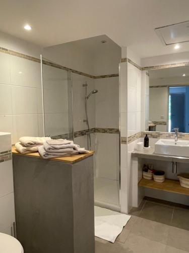 une salle de bain avec douche et lavabo dans l'établissement Mini villa,, 700 m de la plage à pieds, à Pinarellu