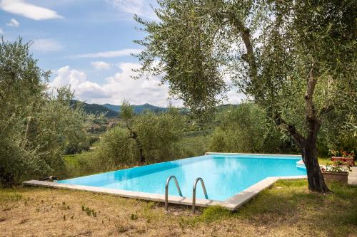 a swimming pool in a field with a tree at Palagina la dimora in Figline Valdarno