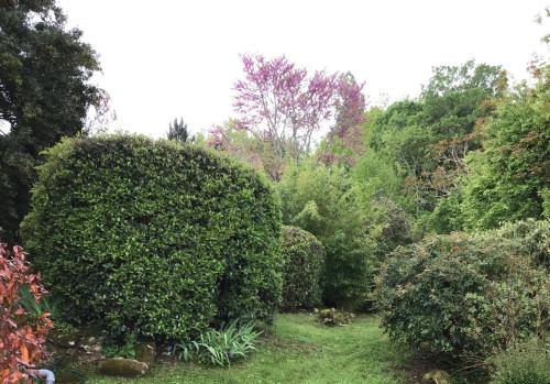 un jardin avec deux grands buissons et des arbres dans l'établissement Beautiful House, à Montayral