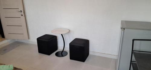 a room with a table and two speakers on the floor at Green House მწვანე სახლი in Sighnaghi