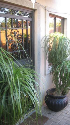 two potted plants sitting in front of a building at Hotel Santa Maria Inn in Alajuela City