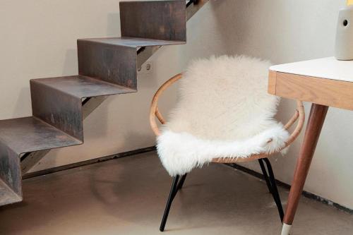 Style & Design Suite