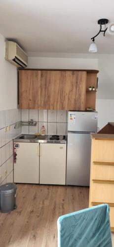 Cuina o zona de cuina de Apartman Kosta