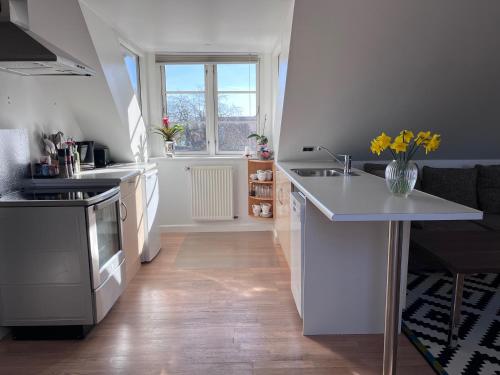 a kitchen with a sink and a counter top at Lovely villa in Vejstrup in Vejstrup