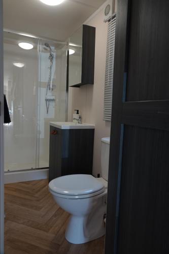 a bathroom with a white toilet and a shower at Lodge 'de Haere' in Balkbrug