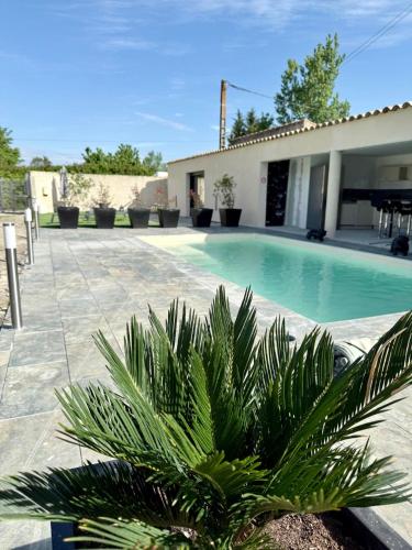 - une piscine avec un palmier en face d'une maison dans l'établissement J&J Home, à Entraigues-sur-la-Sorgue