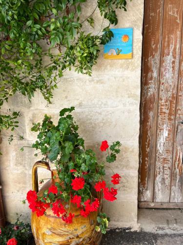 a basket filled with red flowers next to a wall at Suite Battisti 7 in Lecce