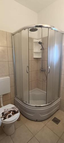 a shower stall in a bathroom with a toilet at Aparmani Đani 2 in Pag