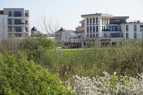 a view of a city with buildings and trees at Flunder in Börgerende-Rethwisch