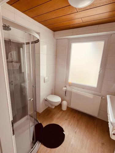a bathroom with a shower and a toilet and a window at GR Appartements in Troisdorf
