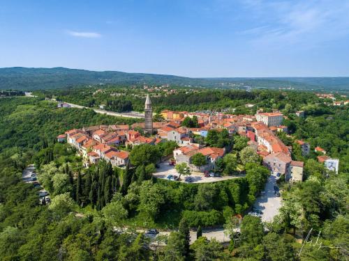 Příroda nedaleko apartmánu