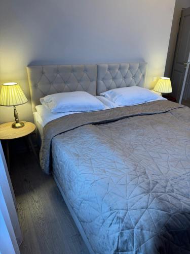 a bedroom with a large bed and two lamps at DHARMA Stay Notaro apartamentai Self check-in in Telšiai