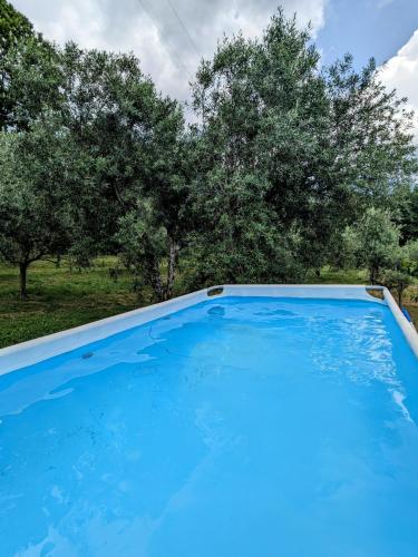 a blue swimming pool with trees in the background at B&B Casal Cominium in San Donato Val di Comino
