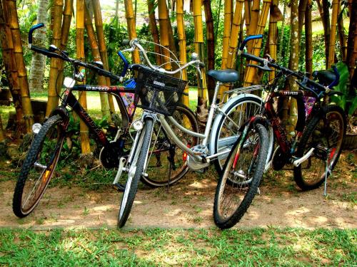 Ciclismo en Villa Shade o alrededores