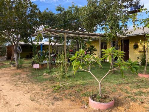 Taman di luar Pousada Sitio do Terrão a 500 metros da BR 040 e a 10 minutos da Prainha