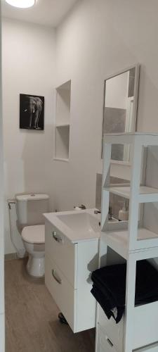 une salle de bain avec toilettes, lavabo et miroir dans l'établissement L'Atelier Gauthier, à Cholet