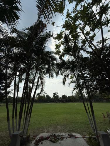a group of palm trees in a field at PRIME MURTI RESORT and SPA in Chālsa Mahābāri