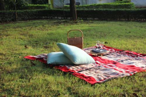 a picnic table with pillows on a blanket on the grass at Nehamrit Farmstays with Pool, Near Malshej Ghat in Murbād