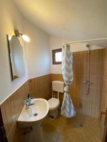 a bathroom with a sink and a toilet and a shower at Salcia Pletoasa in Mahmudia