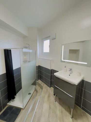une salle de bain avec un lavabo et une douche dans l'établissement Bascule Rive Droite - WiFi - 2 Guests, au Mans