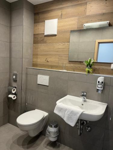 a bathroom with a toilet and a sink at Hotel ChiemseePanorama in Gstadt am Chiemsee