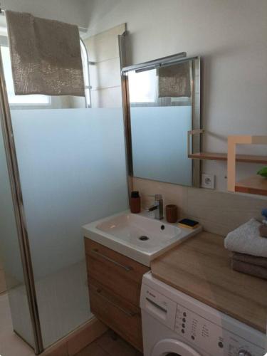une petite salle de bain avec un lavabo et un miroir dans l'établissement Appartement quartier Beauregard à Rennes avec terrasse, à Rennes