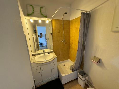 une salle de bain avec un lavabo et un miroir dans l'établissement Cosy - Idéal Sportifs & Randonneurs, à Font-Romeu