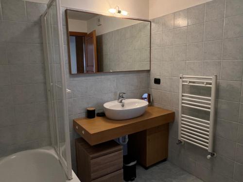 Koupelna v ubytování Beau logement avec wifi, parking et animaux admis au cœur de Chamonix - FR-1-343-187