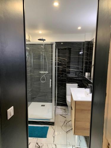 a bathroom with a shower and a sink at Appartement #2 cœur de ville in Le Mans