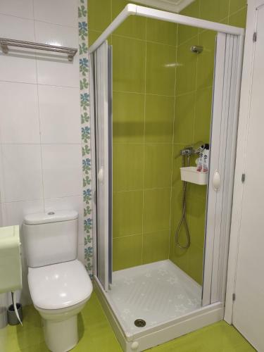 a bathroom with a toilet and a shower at El apartamento de Fina in Gijón