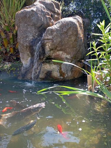 Au rocher de Pascal lit mezzanine