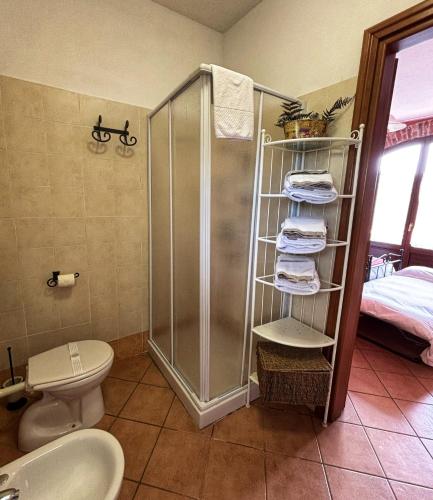 a bathroom with a shower and a toilet and towels at Agriturismo Tenuta San Giuseppe in Cossano Belbo