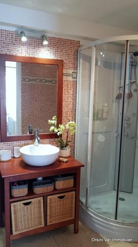 une salle de bain avec un lavabo et une douche dans l'établissement charmant appartement calme à 400 m de la plage, à Saint-Raphaël