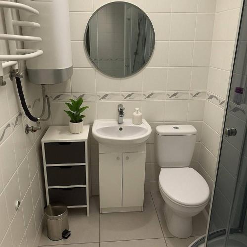 a bathroom with a toilet and a sink and a mirror at Leśna Chata in Kamieńczyk