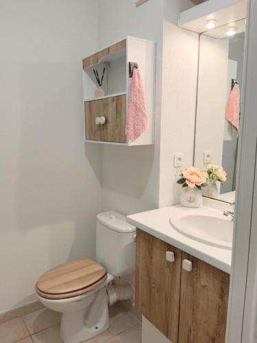 une salle de bain avec toilettes et lavabo dans l'établissement Petite Luma, à Arles