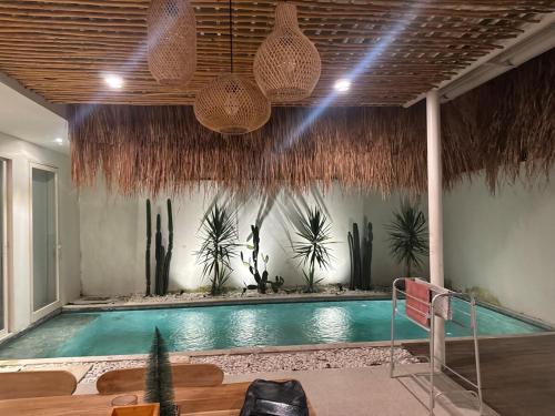 una piscina cubierta con cactus en la pared en 2 bedroom Sofira villa, en Nusa Dua